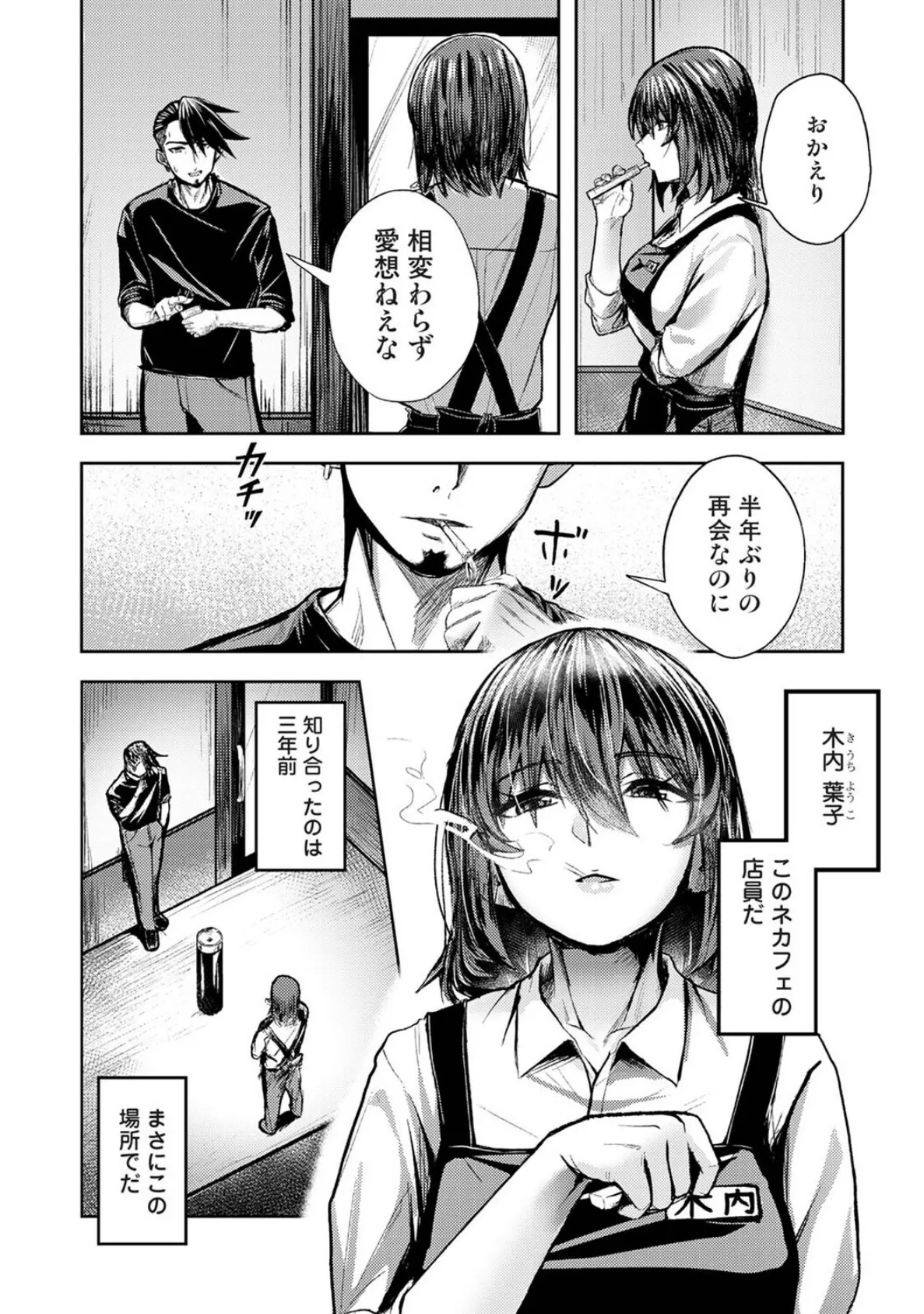 年に2回会ってヤるだけの2人は、 第1話 5ページ