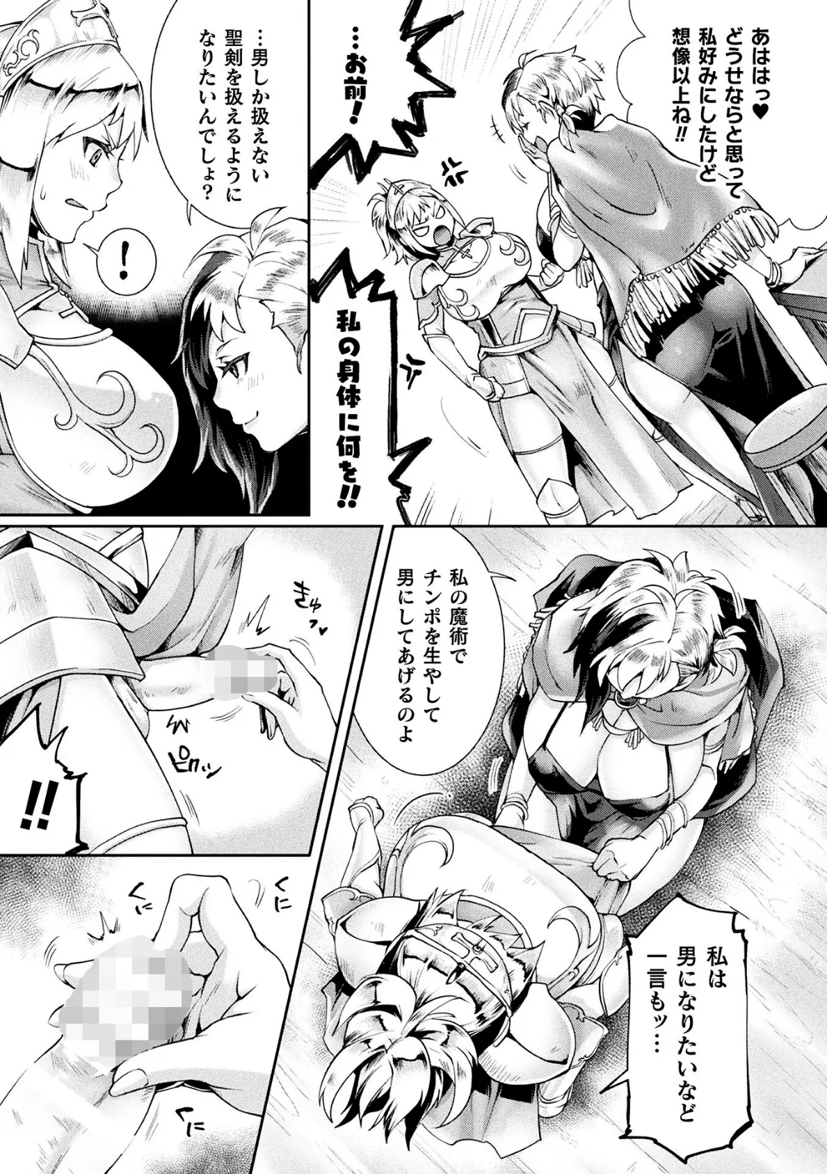 禁断のクラスチェンジ! 聖騎士もヤリたいッ【単話】 5ページ