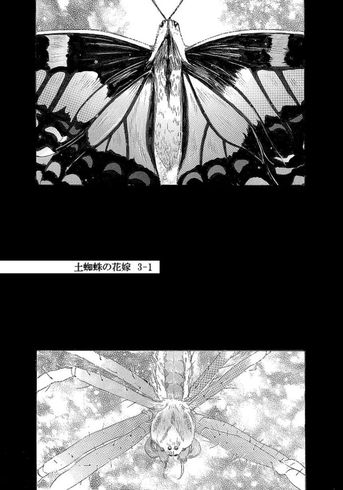 土蜘蛛の花嫁 第三章 3-1 3ページ