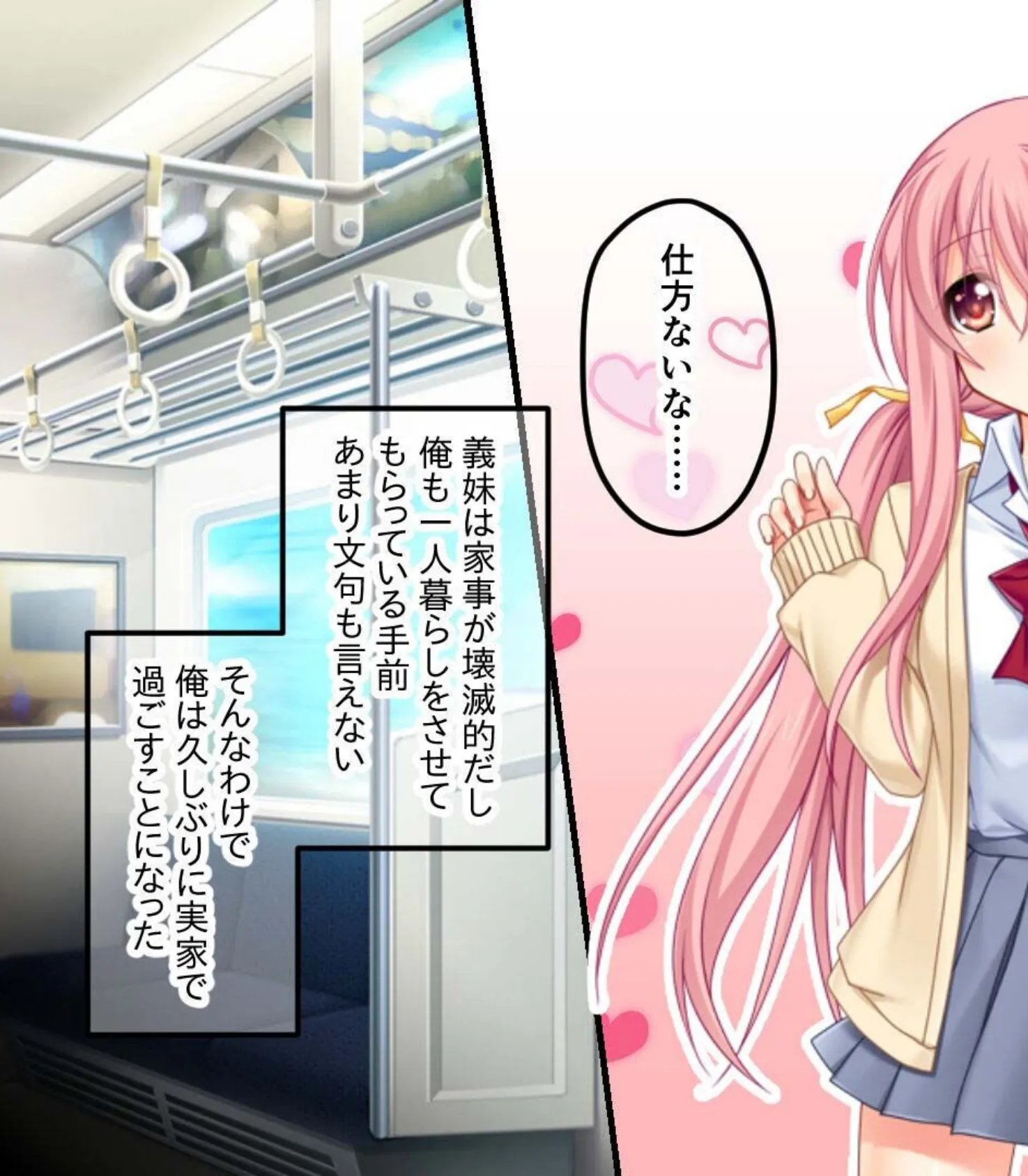 ぎり義理(姉&妹)背徳SEX 〜禁断なほど甘美で中毒的です〜【CG集コレクション】 モザイク版 5ページ