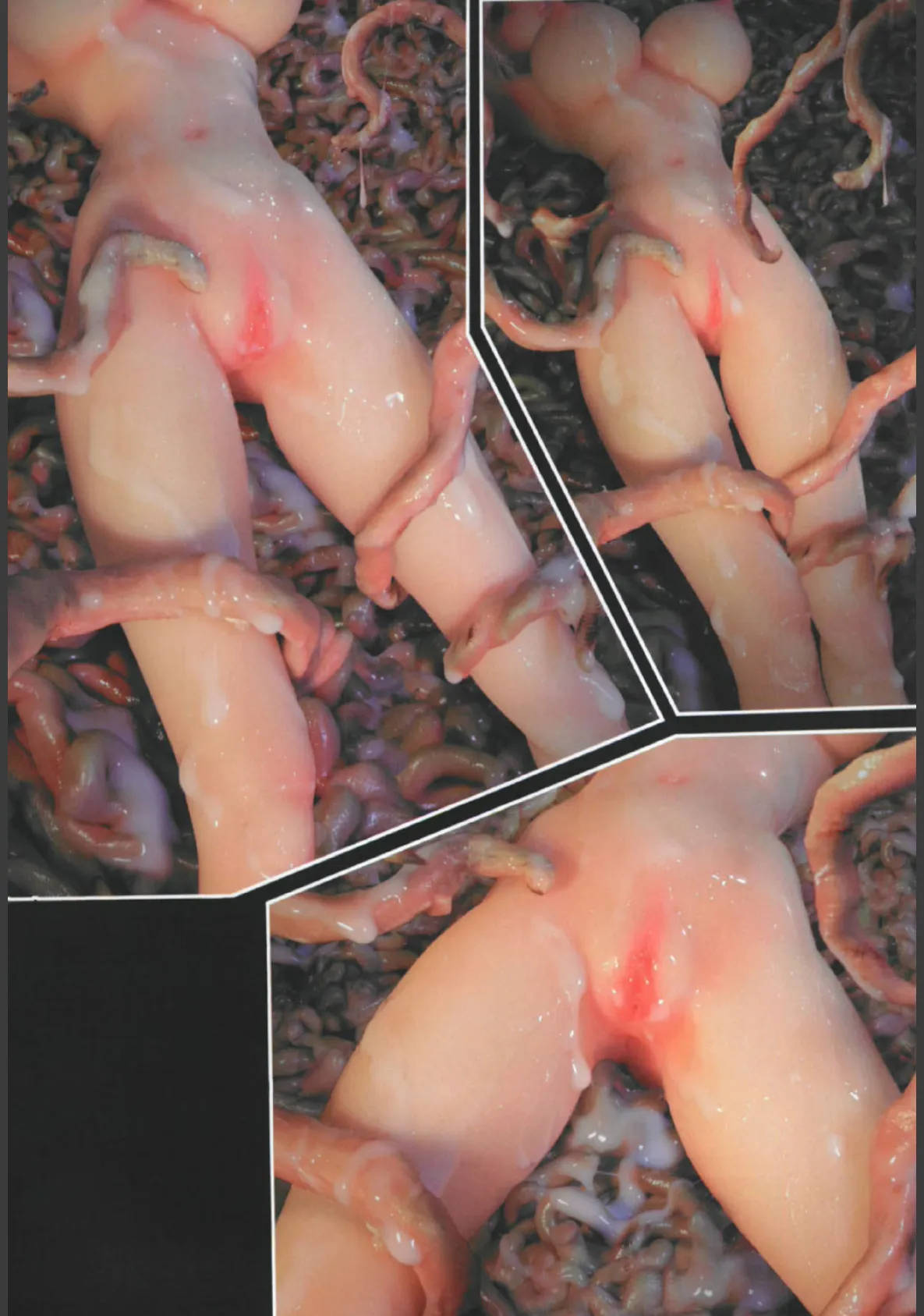 SEE-THROUGH ANGEL(シースルーエンジェル) 3ページ