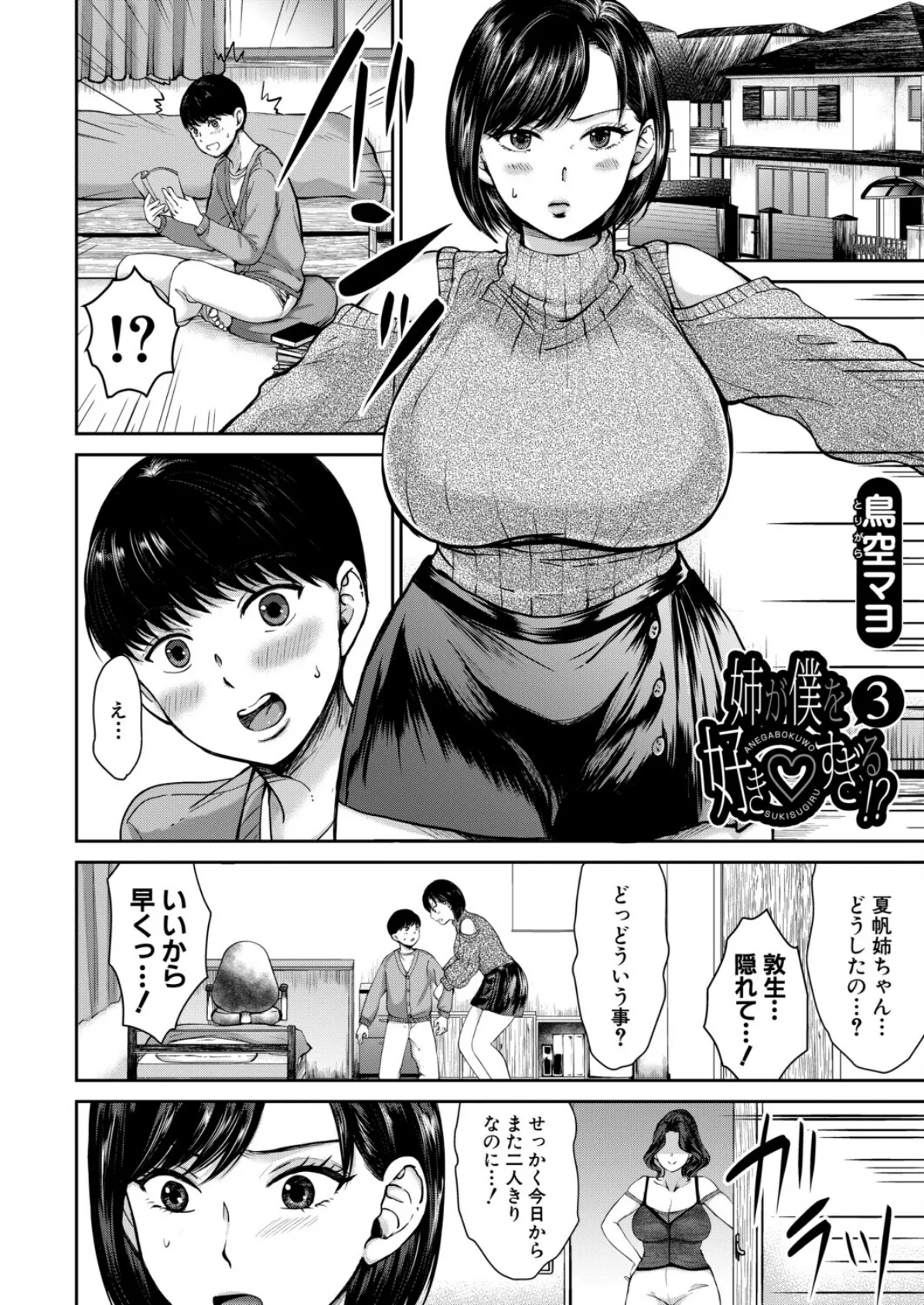 姉が僕を好き▽すぎる!?3 (鳥空マヨ) 2ページ