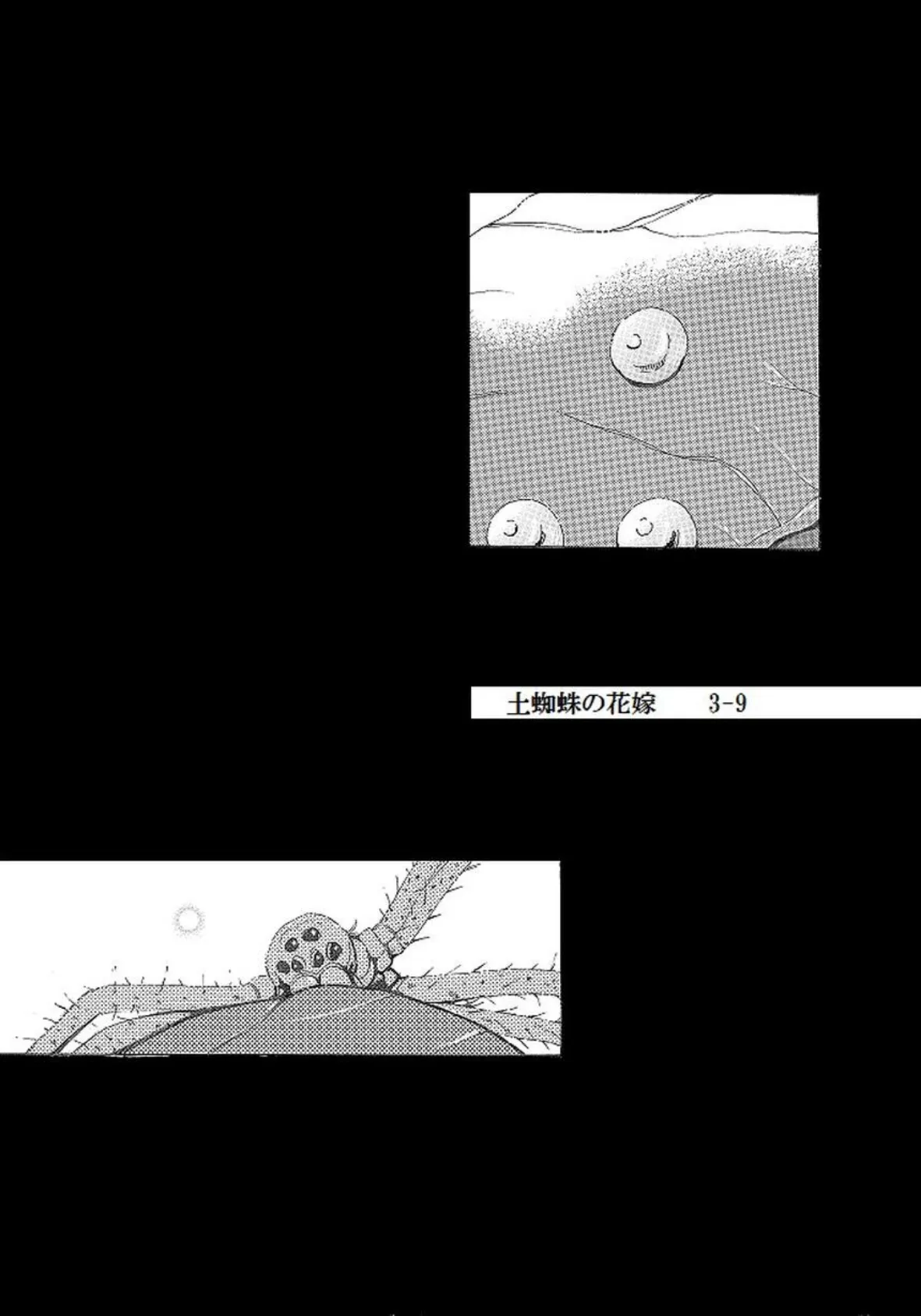 土蜘蛛の花嫁 第三章 3-9 2ページ