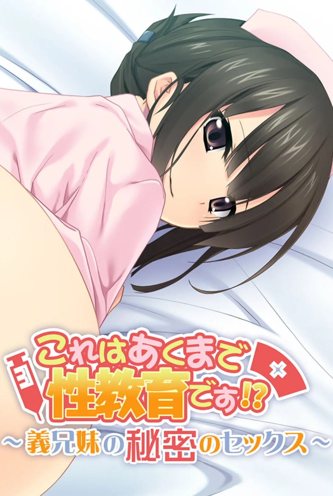 これはあくまで性教育です!? 〜義兄妹の秘密のセックス〜