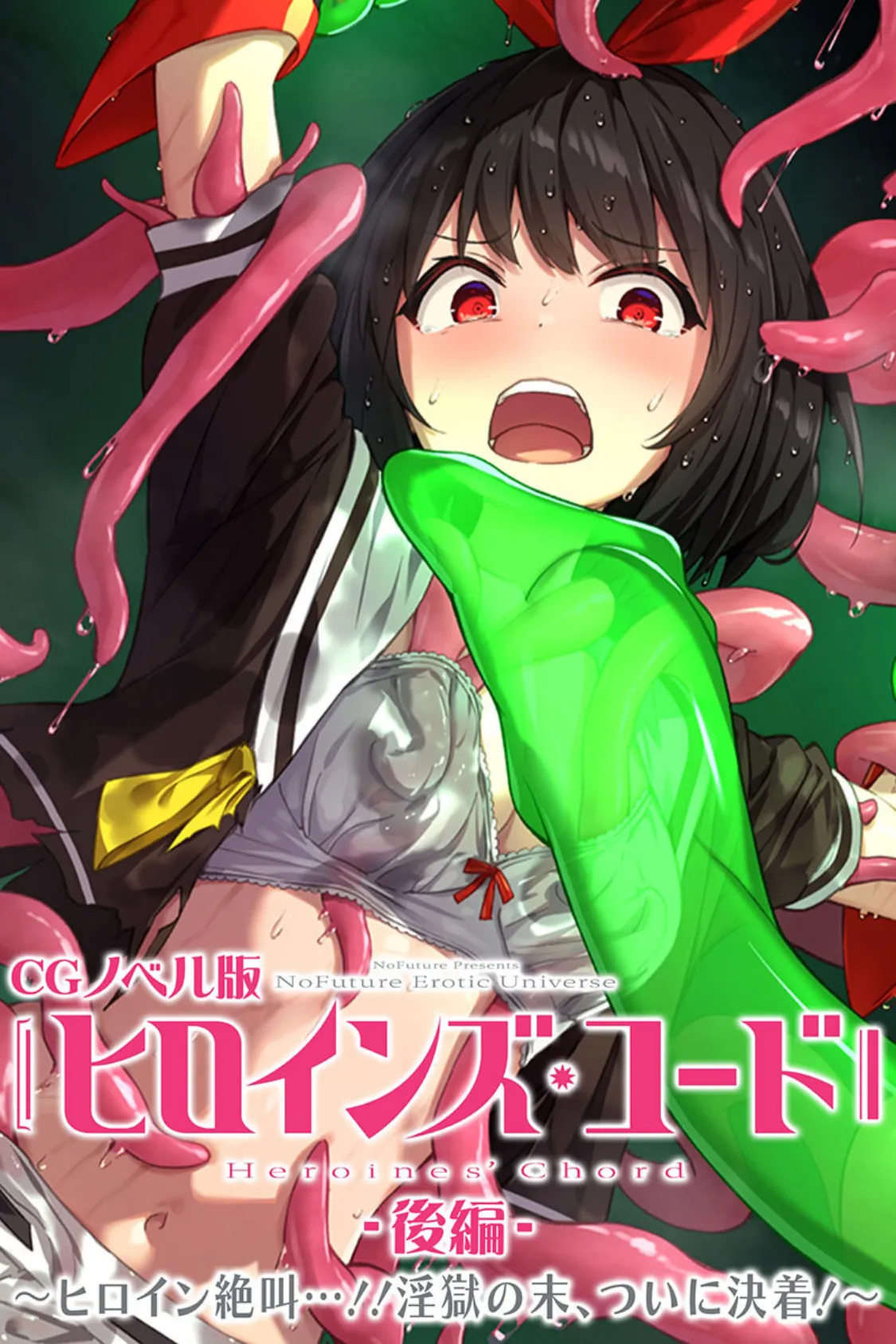 ヒロインズ・コード CGノベル版 後編 〜ヒロイン絶叫…!!淫獄の末、ついに決着!〜
