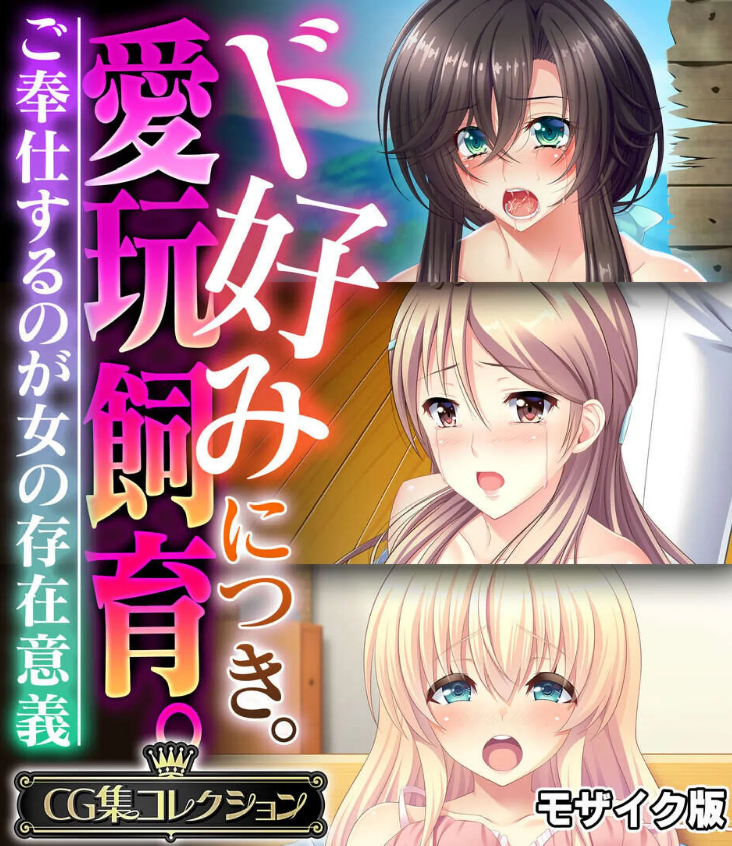 ド好みにつき。愛玩飼育。 〜ご奉仕するのが女の存在意義〜【CG集コレクション】 モザイク版