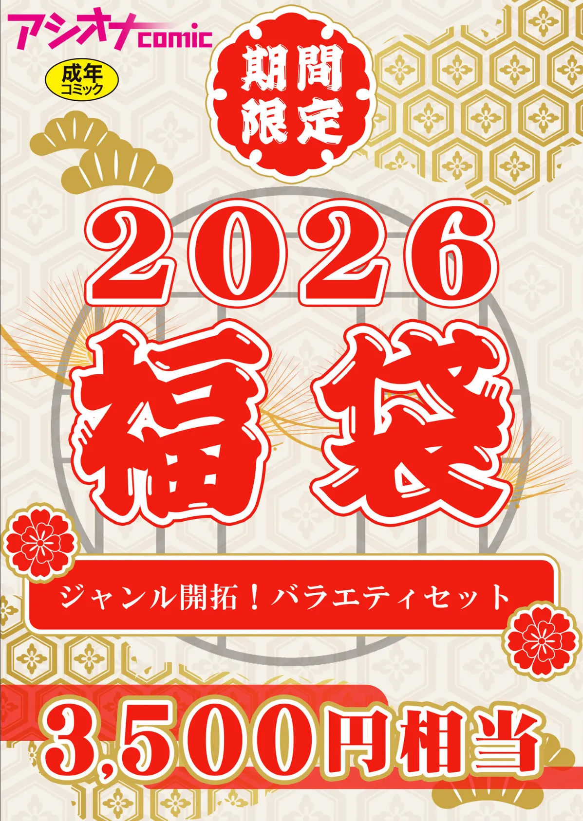 アシオナ福袋2026 ジャンル開拓！バラエティセット【18禁】